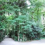 Casa De Esteiro