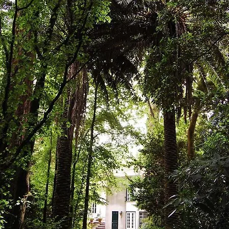 Casa De Esteiro 卡米尼亚