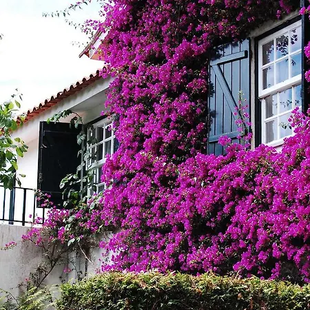 Casa De Esteiro 卡米尼亚