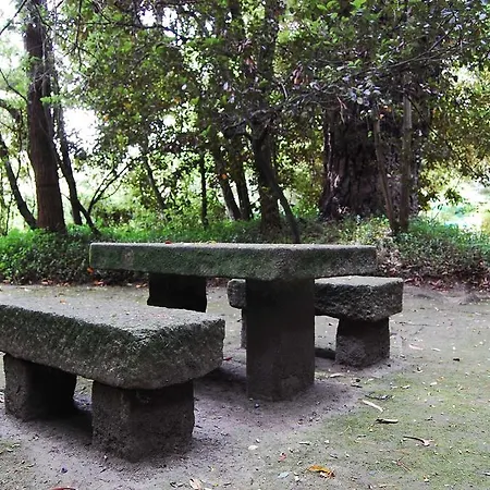 乡村民宿 Casa De Esteiro 卡米尼亚