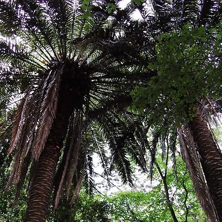 Casa De Esteiro 卡米尼亚