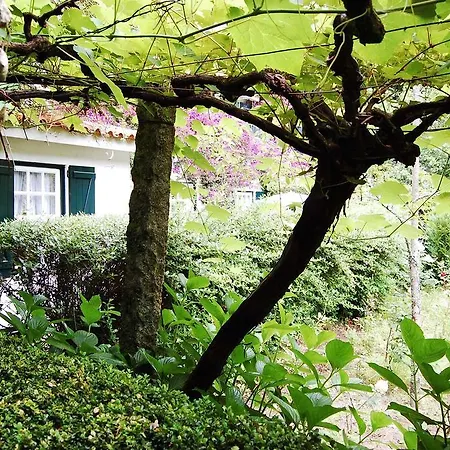 Casa De Esteiro