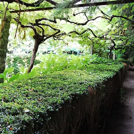 乡村民宿 Casa De Esteiro *