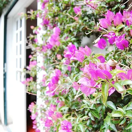 Casa De Esteiro Caminha