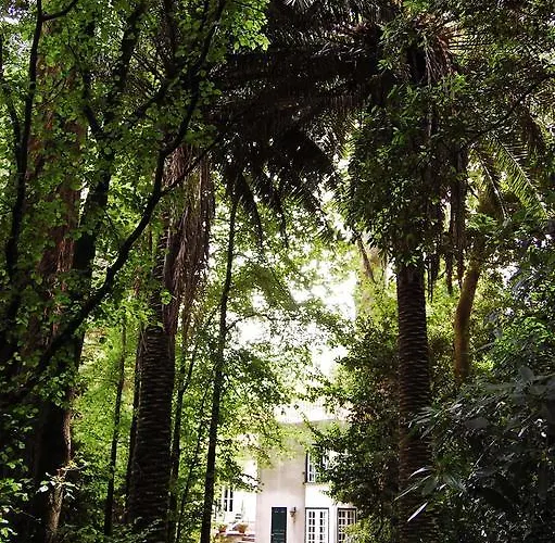 Casa De Esteiro Caminha