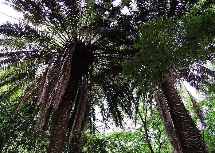 Casa De Esteiro Caminha