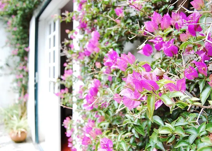 Casa De Esteiro Caminha